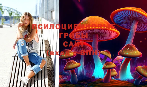 дмт Абаза