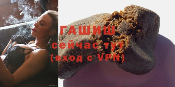 СК Новодвинск